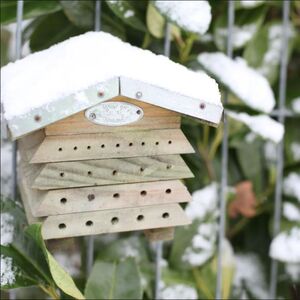 Bee Hive