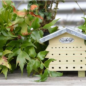 Bee Hive