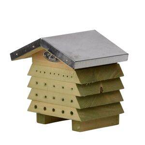 Bee Hive