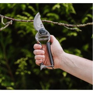 Secateurs