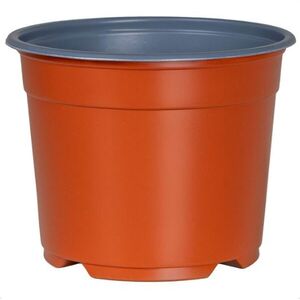 3 litre pot