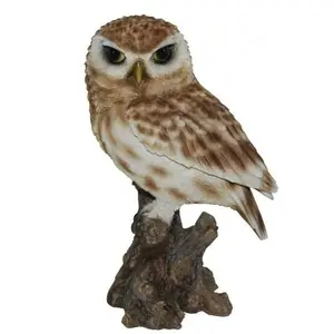 Real Life Little Owl D