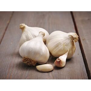 Garlic Bulbs Messidrome (3 Pack)