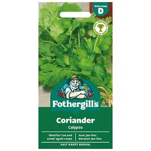 CORIANDER Calypso Mr Fothergills