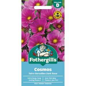 COSMOS Tetra Versailles Dark Rose Mr Fothergills Seeds