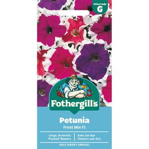 PETUNIA Frost Mix F1 Mr Fothergills Seeds