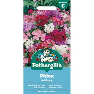 PHLOX Brilliancy Mr Fothergills Seeds