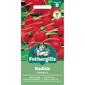 RADISH Celesta F1 Mr Fothergills Seeds