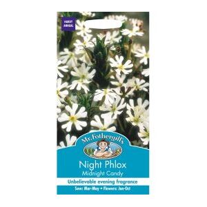NIGHT PHLOX Midnight Candy Mr Fothergills Seeds
