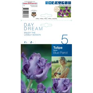 Tulip Blue Parrot
