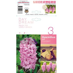 Hyacinth Fondant Bulbs