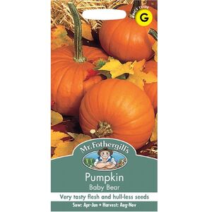 Pumpkin Seeds