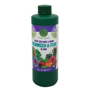 Seaweed Feed