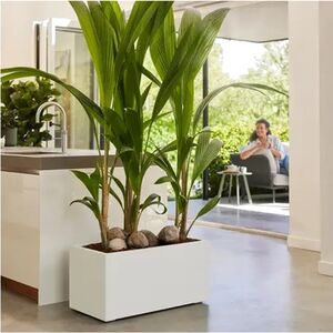 Long Garden Planter