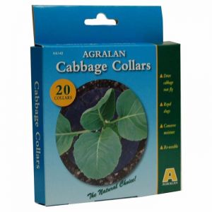 Cabbage Collars