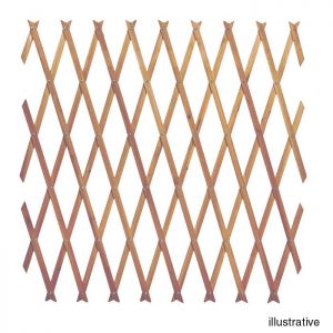 Expanding Garden Trellis
