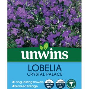 Lobelia Seeds