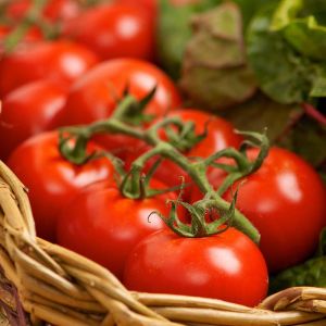 Tomato Seeds