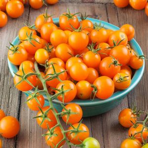 Tomato Seeds (Sungold)