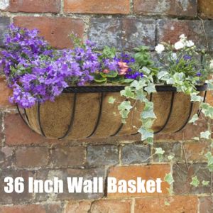 Wall Basket