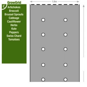 Weed Control Grow Grid