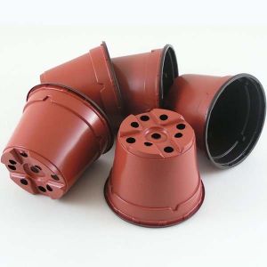 Plant Pots