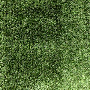 Artificial Grass