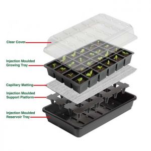 Self Watering Seed Tray