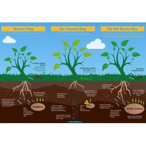 Soil Renew