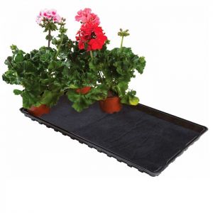 Watering Tray