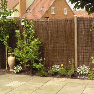 Willow Fencing Screen