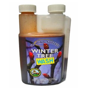 Winter Tree Wash