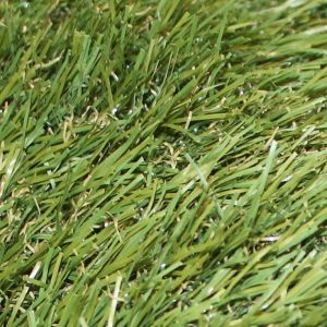 Artificial Grass