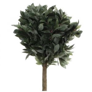 Artificial Bay Tree