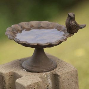 Bird Bath