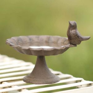 Bird Bath