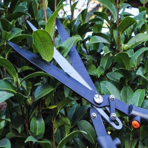 Tri-Blade Cutting Shears