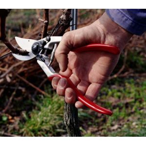 Felco 13 Secateurs