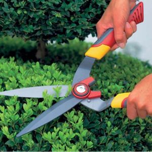 Topiary Shears