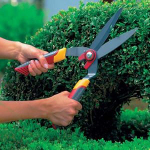 Topiary Shears