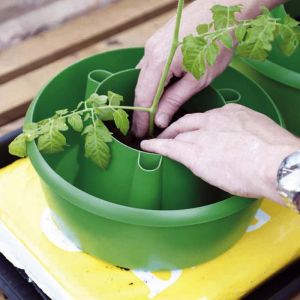 Tomato Grow Pot