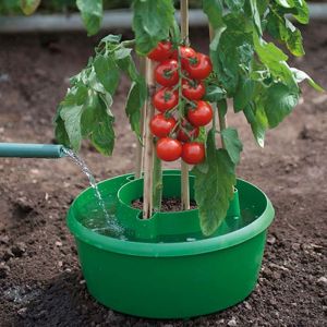 Tomato Grow Pot