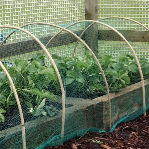 Garden Netting