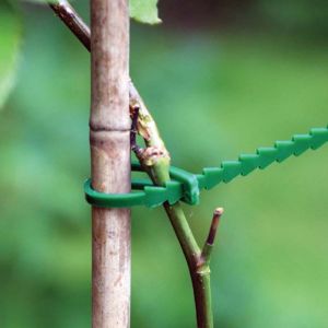 Plant Ties