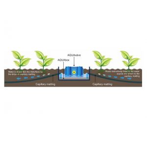 Raised Bed Self Watering Kit