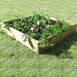 Square Raised Bed