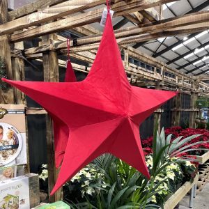 Christmas Star Decorations