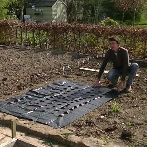 Weed Control Grow Grid