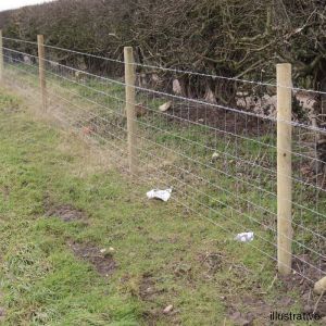 Fencing Stakes