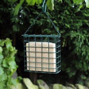 Bird Suet Feeder